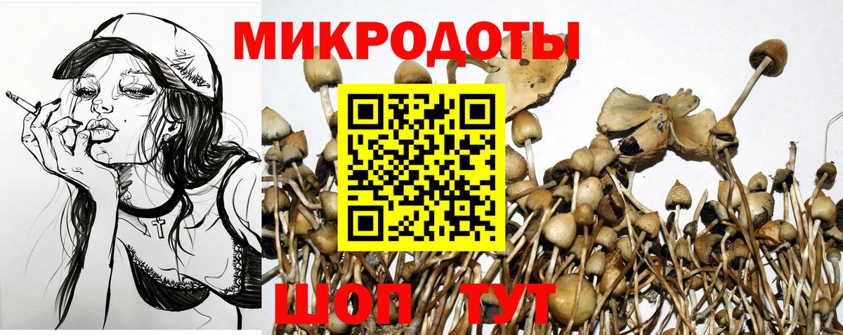 Кириши  Псилоцибиновые грибы MAGIC MUSHROOMS  Галлюциногенные грибы Psilocybine cubensis  Вход с VPN 
