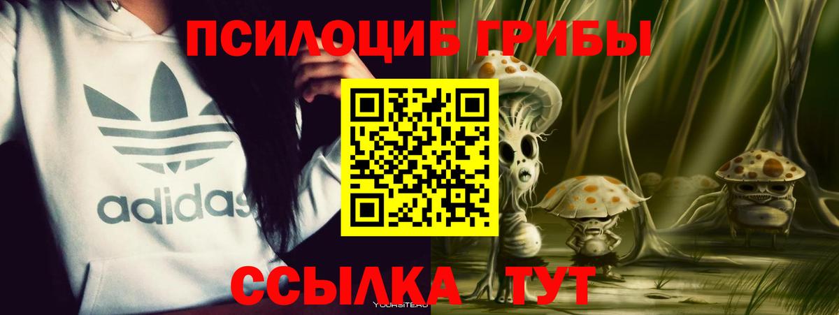 Галлюциногенные грибы GOLDEN TEACHER Кириши